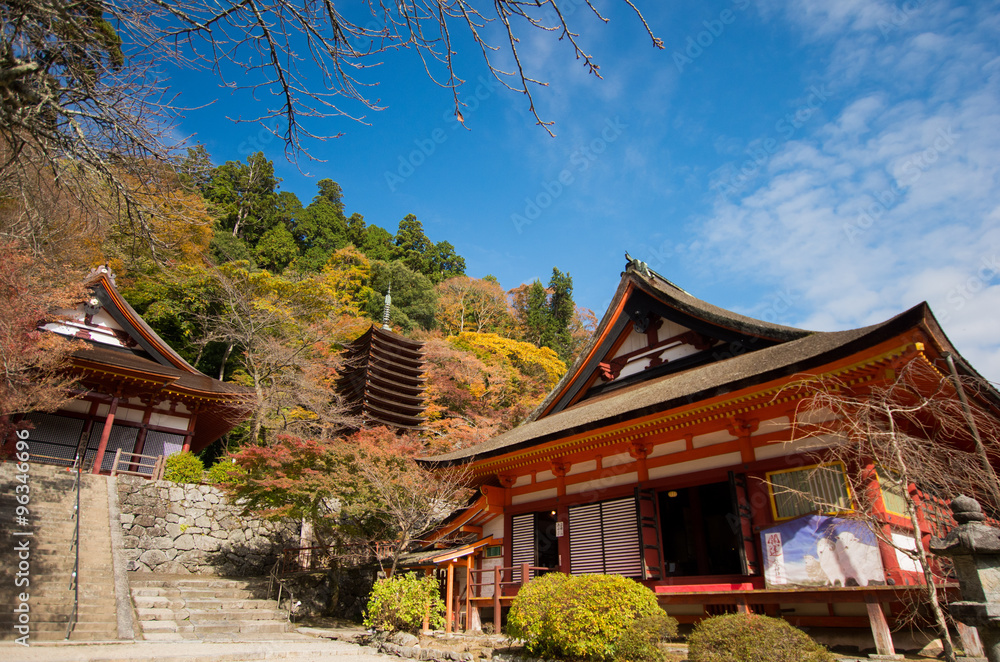 Tanzan(shrine),autumn,
nara(prefectures),japanese traditional temples and shrines(奈良_談山神社) Tanzan(shrine),autumn,
nara(prefectures),japanese traditional temples and shrines(奈良_談山神社)