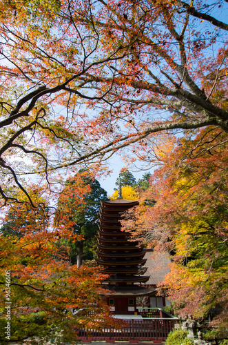 Tanzan(shrine),autumn,
nara(prefectures),japanese traditional temples and shrines（奈良＿談山神社） photo