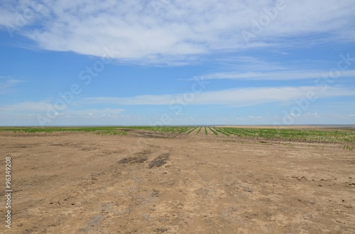 Vast prairie and open space countryside