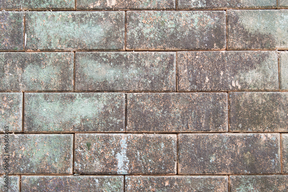 Obraz premium Brick walls background.