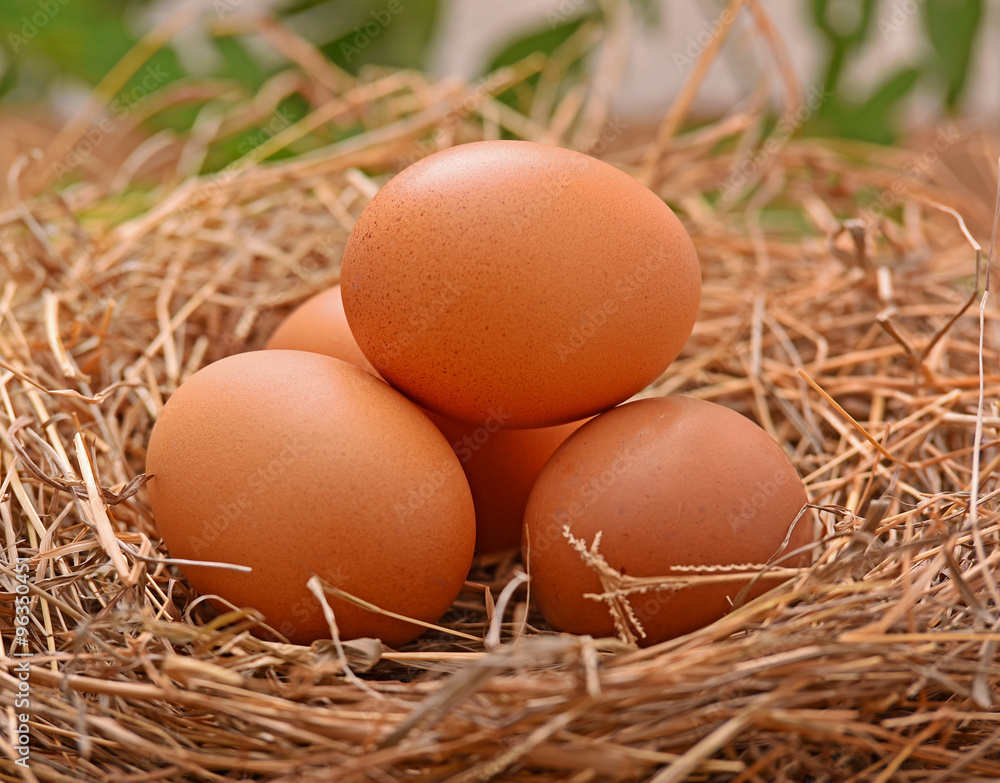 Place the eggs in a hay stack wood floors Place the eggs in a hay stack wood floors