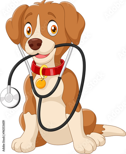 Cute dog sitting with stethoscope