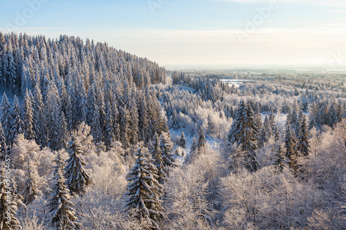 View of the forest landscape in winter with frost and snow © Lars Johansson