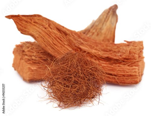 Coir of coconut