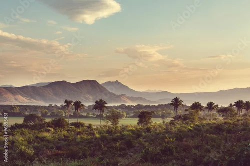 Obraz Dżungla w Meksyku