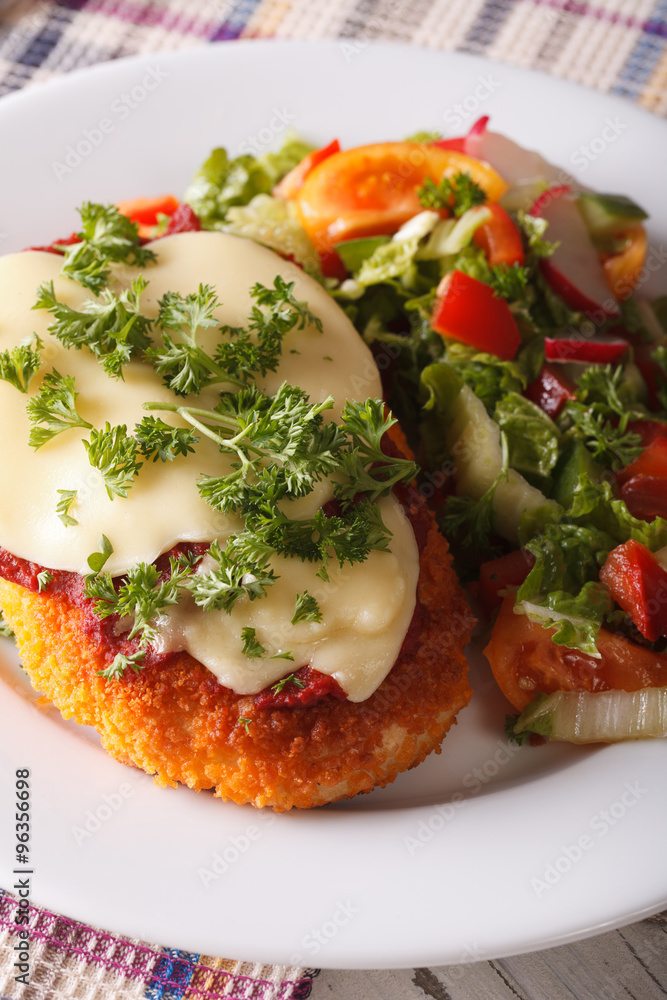 Chicken Parmigiana and vegetable salad closeup. vertical
Chicken Parmigiana and vegetable salad closeup. vertical