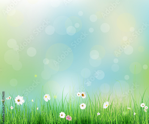 Vector illustration Spring nature field with green grass  white Gerbera- Daisy flowers at meadow and water drops dew on green leaves  with bokeh effect on blue-green pastel colorful background