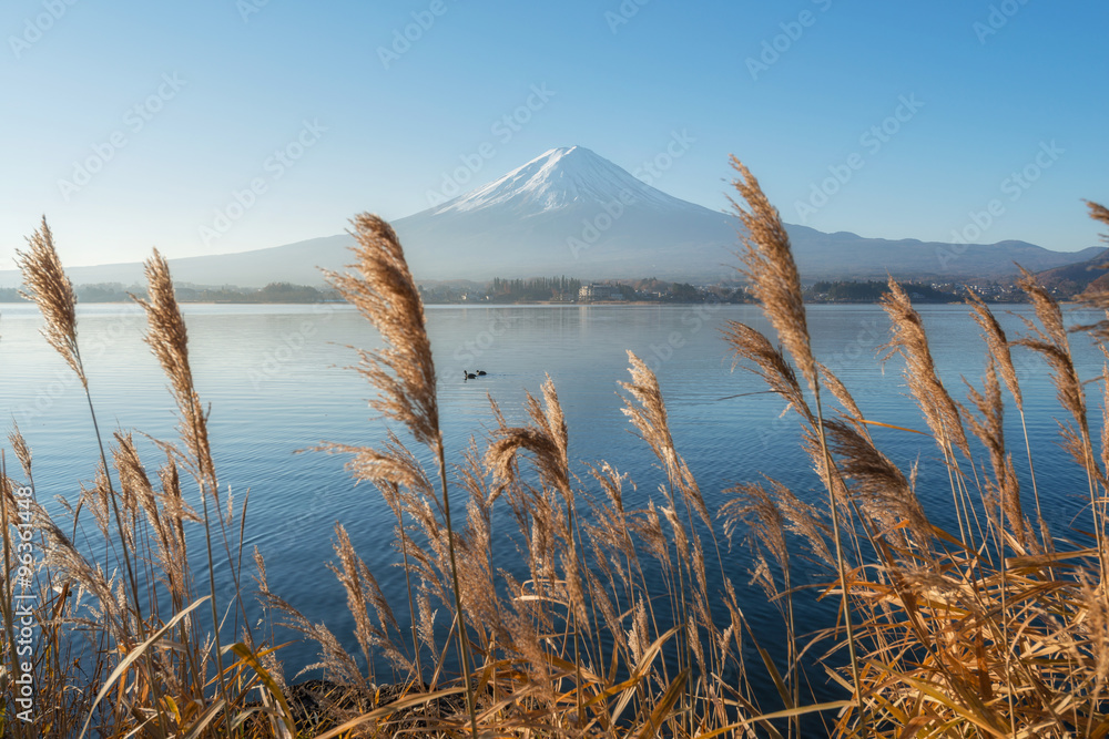 Obraz premium Beautiful view around lake Kawaguchi with Mount Fuji in backgrou