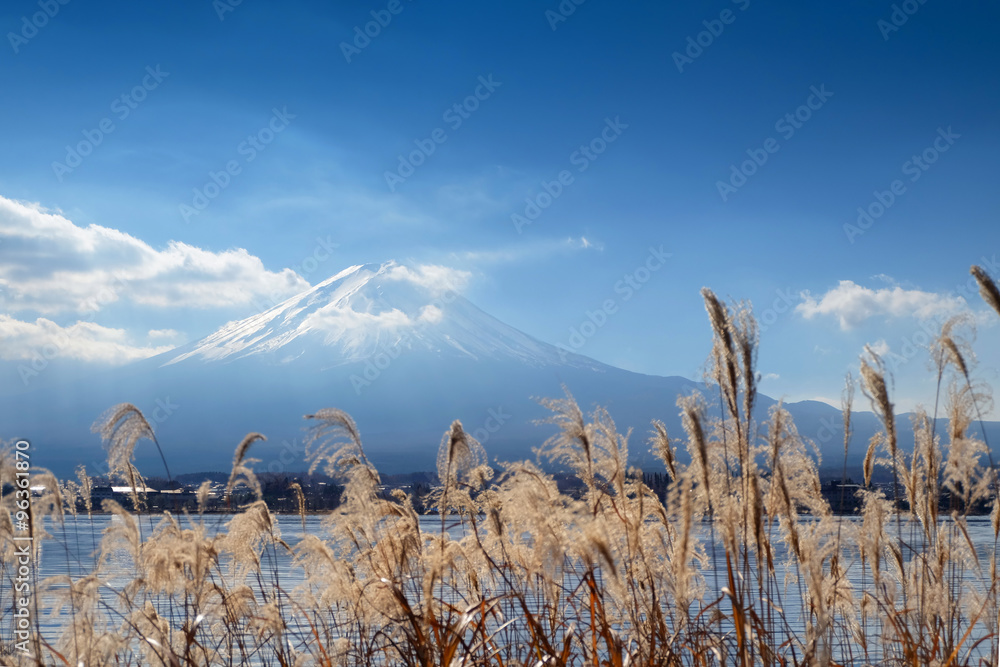 Obraz premium Beautiful place around lake Kawaguchi with Mount Fuji in backgro