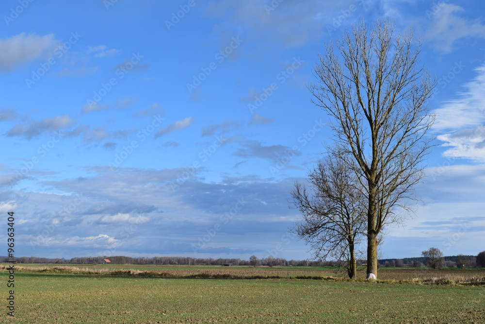 Fototapeta premium Herbst
