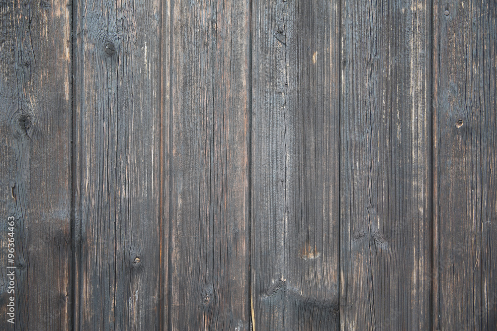 Obraz premium Wood Texture