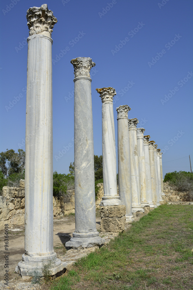 Fototapeta premium Cyprus, ancient Salamis