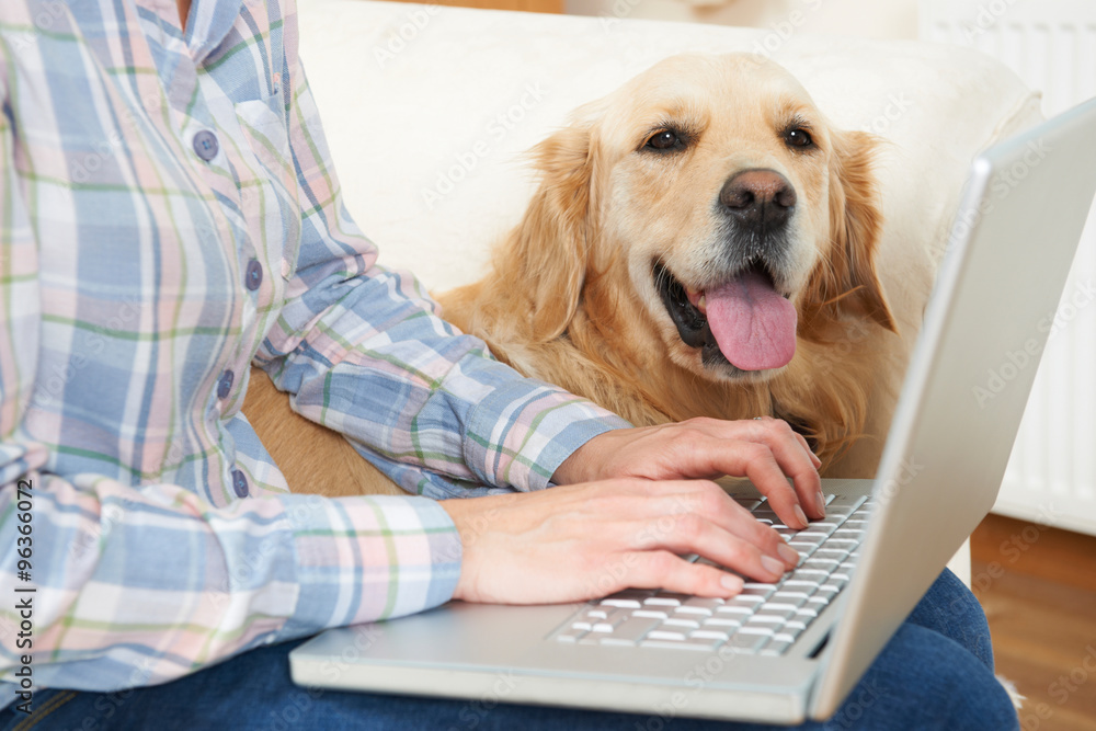 Dog Sitting Next To Owner Using Laptop Dog Sitting Next To Owner Using Laptop