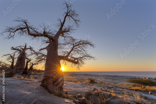Baobab Sunset at Kubu Island