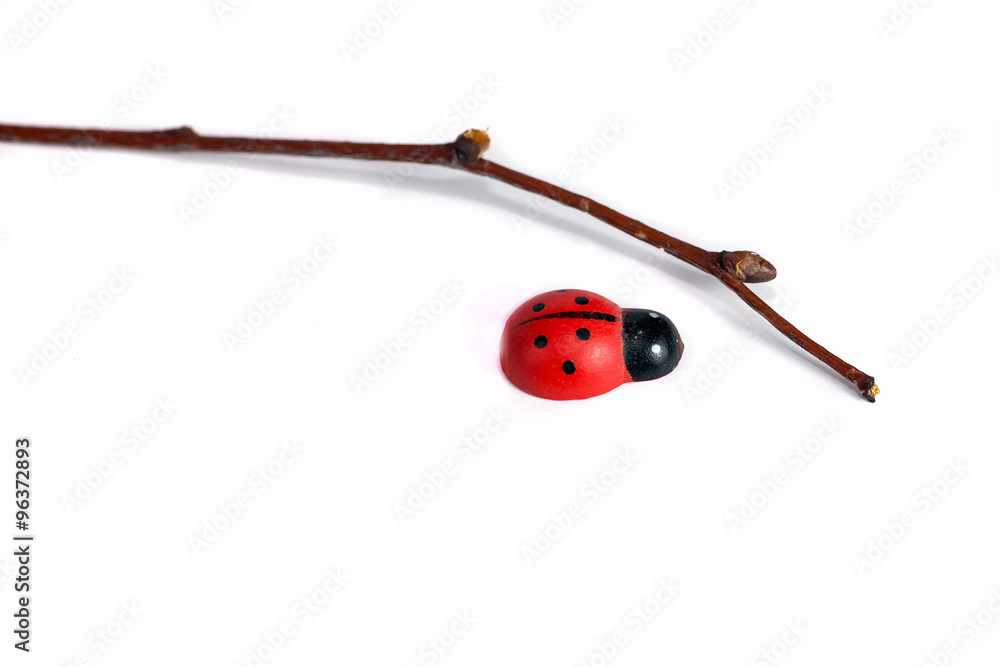 Fototapeta premium ladybug, twig