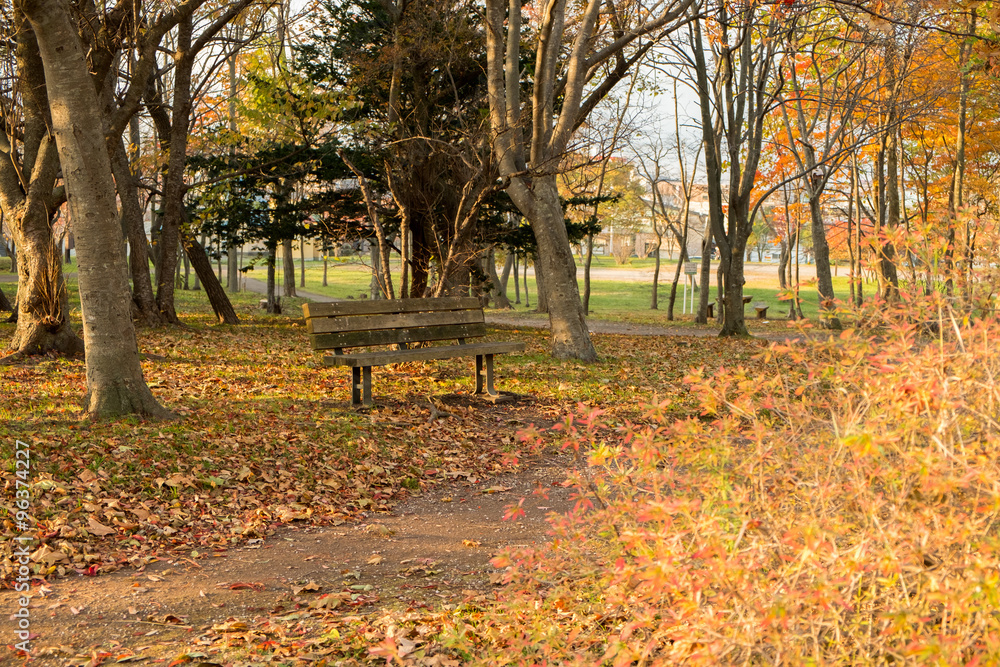 秋の公園のベンチ