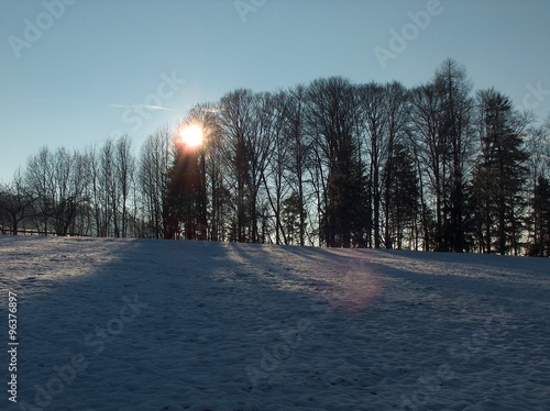 Wallpaper Mural Sunny Winterday Torontodigital.ca