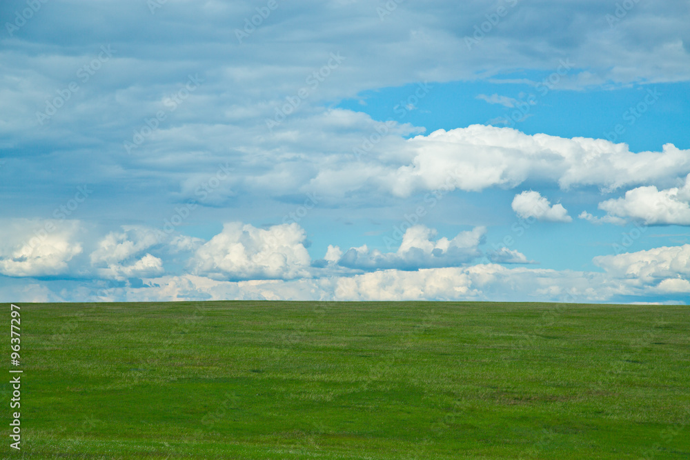 green field with clouds green field with clouds
