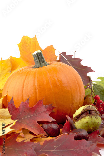  Decoration of pumpkin with autumn leaves for thanksgiving day on white