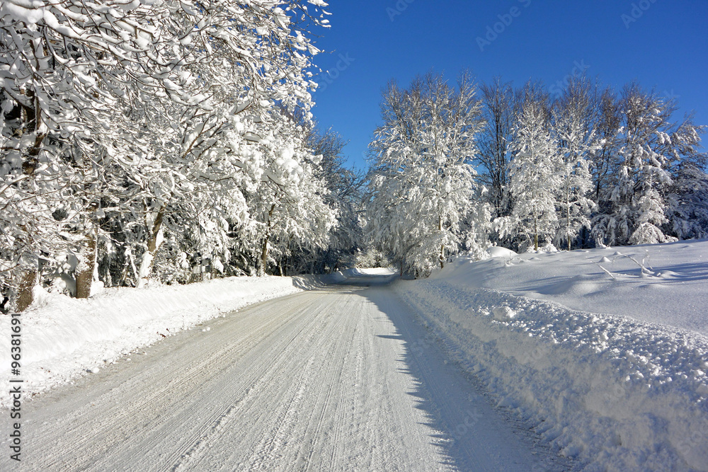 Obraz premium Snow Route. Snow Route in a sunny day with trees covered with fresh snow.