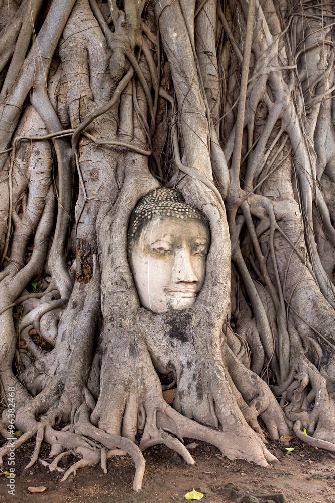 abstract Head of Buddha in Wat Mahathat