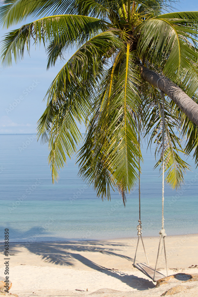 Coconut palm tree on the beach, Thailand