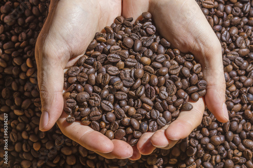 Roasted brown coffee beans hold in the hands