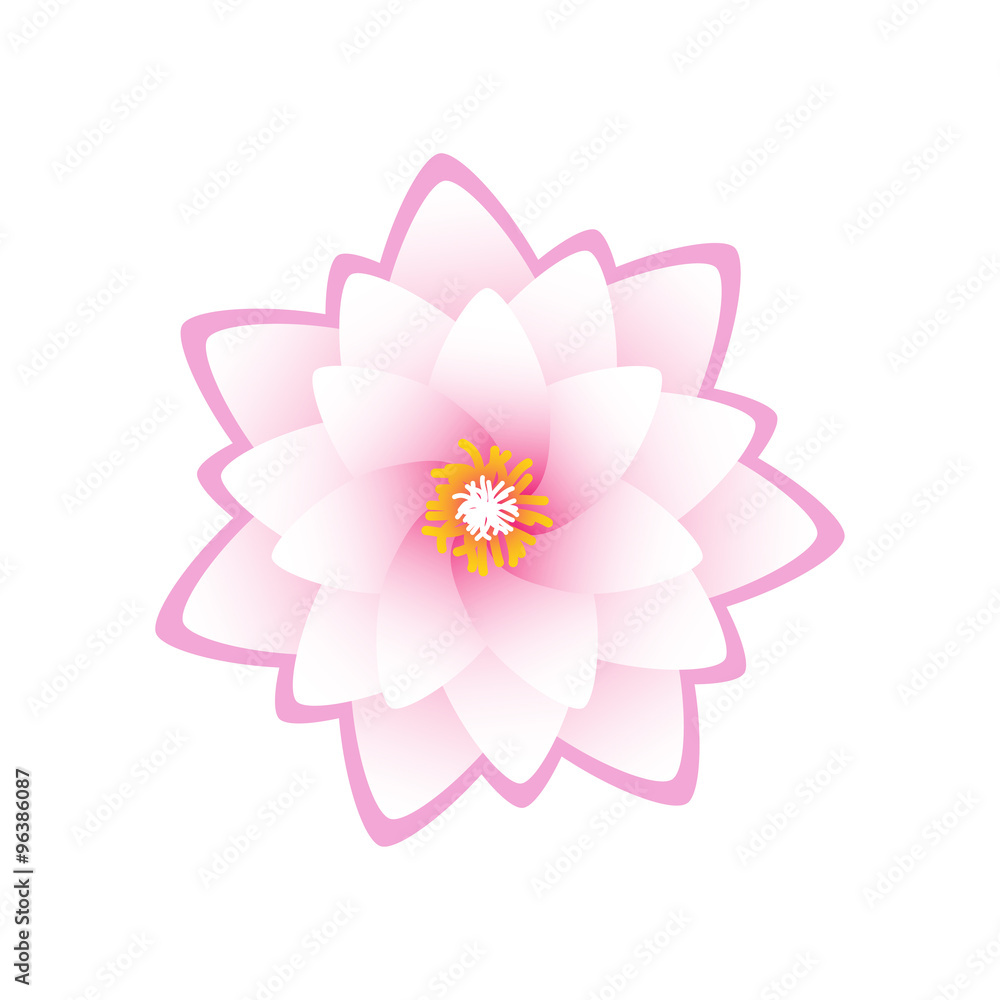 Isolated lotus flower on white background