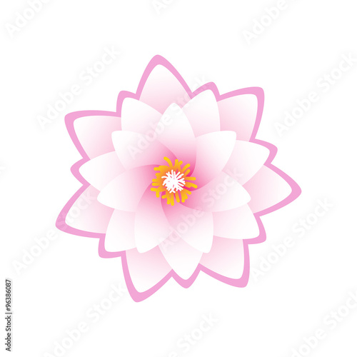 Isolated lotus flower on white background
