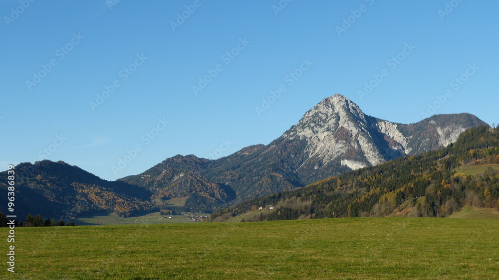 Fototapeta premium Bergwiese