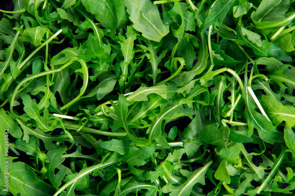 Wild Fresh Rocket salad organic background texture