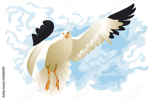 seagull flying in cloud