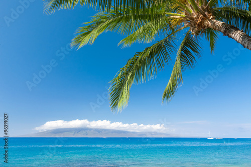 Fototapeta Naklejka Na Ścianę i Meble -  Tropical beach with palm tree