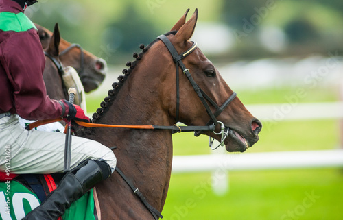 close up of race horse on the track © Gabriel Cassan