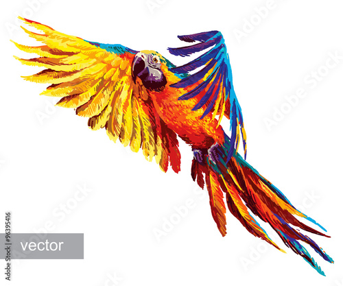 Colorful realistic parrots macaw