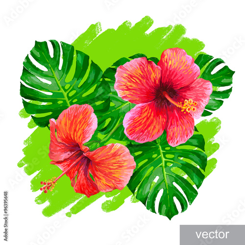 Tropical plants hibiscus flower