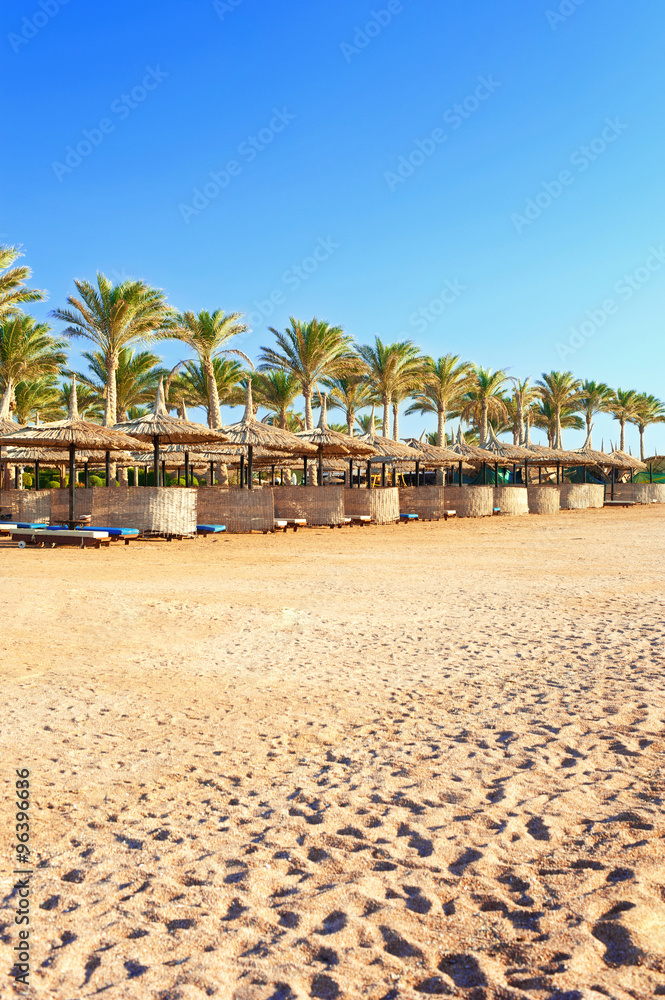 Morning Egyptian sunny beach. Sharm-el-sheikh.