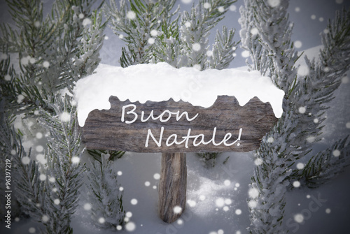 Sign Snowflakes Fir Tree Buon Natale Mean Merry Christmas