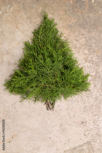 Rustic cedar Christmas tree background