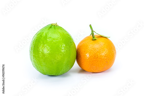 Miniature corsican clementine and miniature green lemon