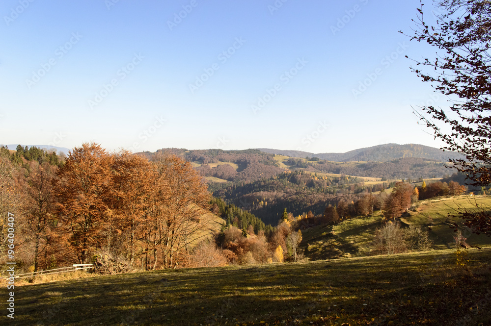 Colorful autumn landscape in the mountains
