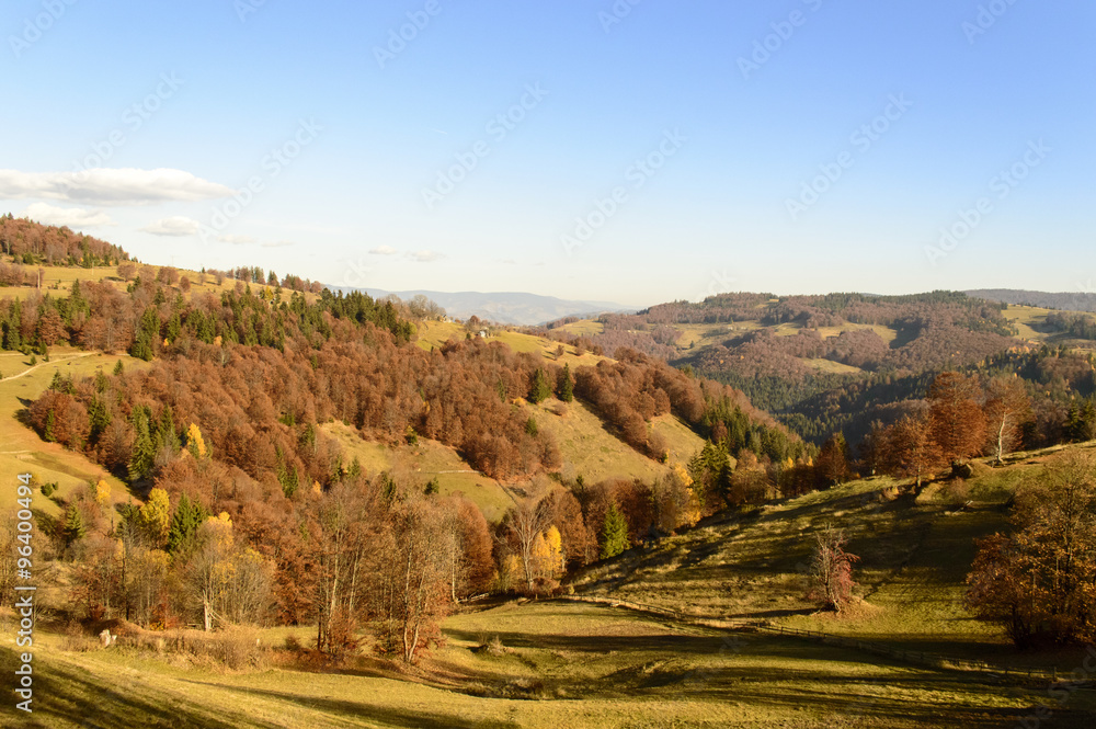 Colorful autumn landscape in the mountains
