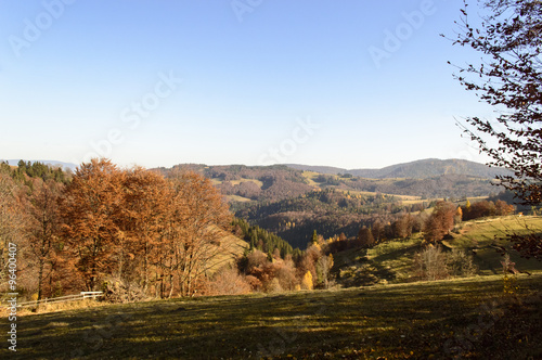 Colorful autumn landscape in the mountains  