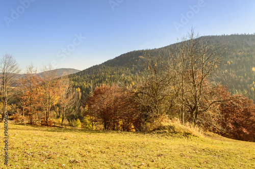 Colorful autumn landscape in the mountains 