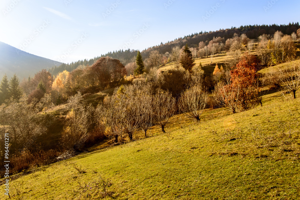 Colorful autumn landscape in the mountains
