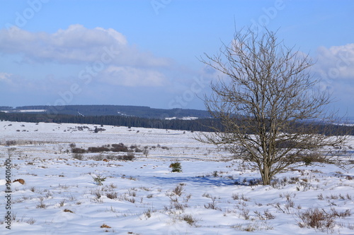 Hohes Venn im Winter in der Nähe von Baraque Michel in Belgien