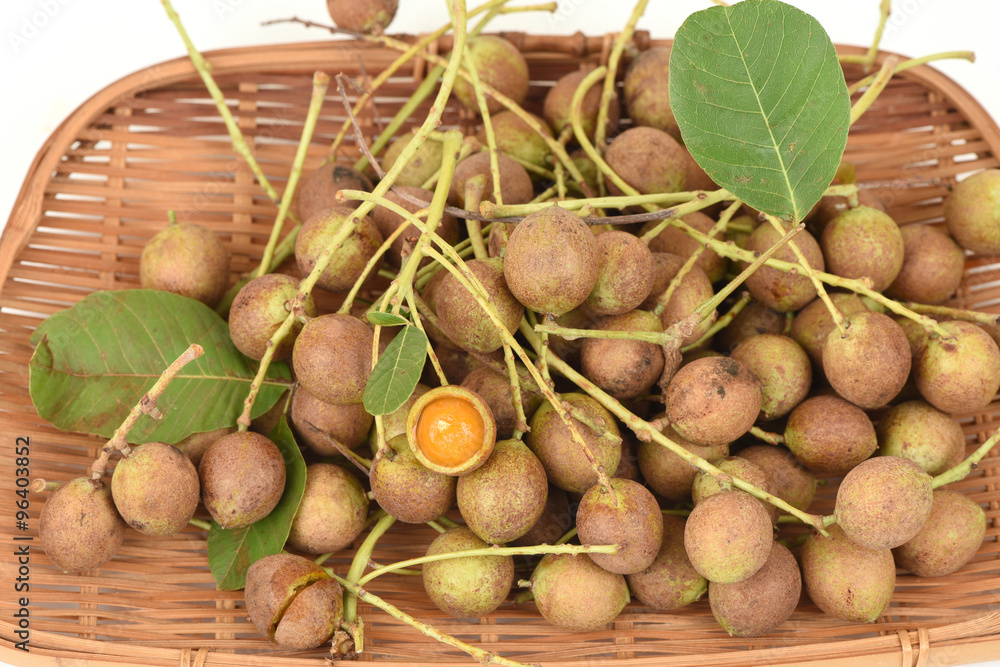 Ceylon oak (Schleichera oleosa (Lour.) Merr.) Fruit laxative properties, seed oil helps to cure hair loss, massage to relieve rheumatic pains and itching cure acne.