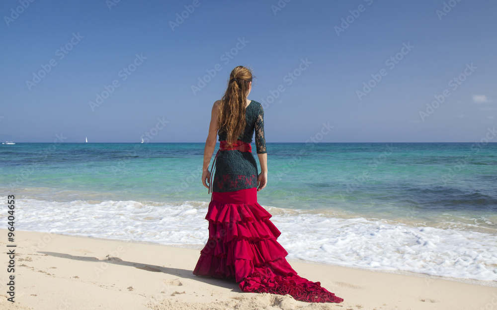 flamenco and ocean flamenco and ocean