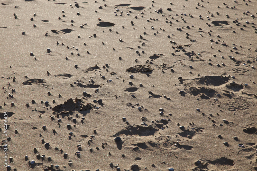 sand texture sand texture