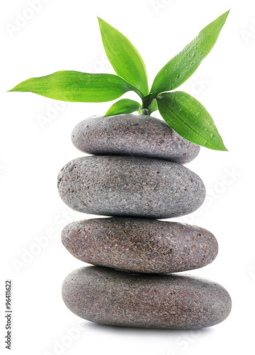 Grey spa stones and green flower, isolated on white